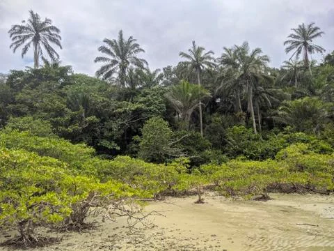 Praia 库存照片