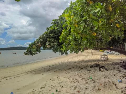 Praia 库存照片