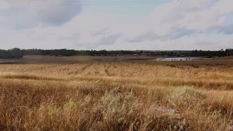 PRAIRIE AUTUMN FIELDS SUNDOWN  Vidéo 166765618