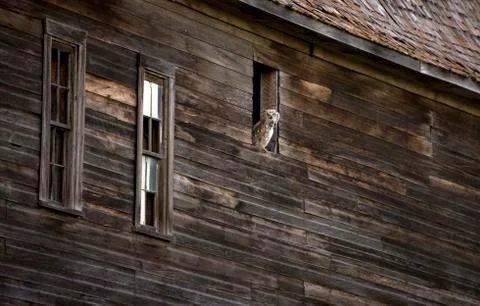Prairie Barn Saskatchewan 스톡 사진