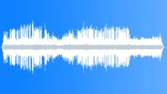 Prairie Chorus of CricketsSound Effect