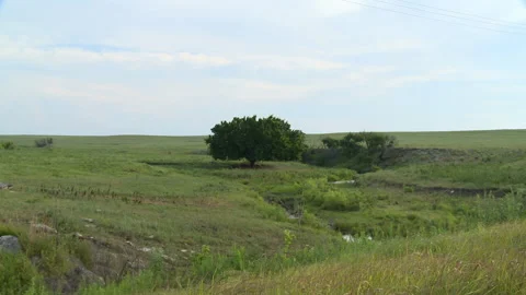 Prairie creek Stock Footage 137606338