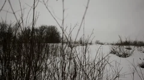 Prairie during snowfall - slow pan Stock Footage 22028008