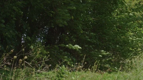 Prairie Farm 01 Stock Footage 108766433