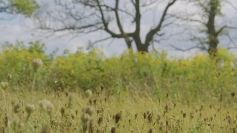 Prairie Farm 06 Stock Footage 108766459
