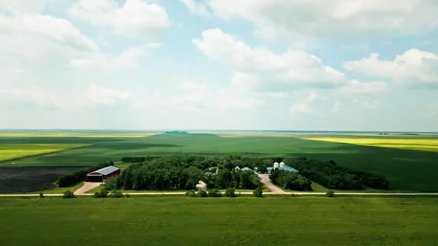 Prairie Farm Surrounded by Wheat and Canola Fields Under Summer Sky Stock Footage 342014069