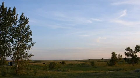 Prairie field, train passing by in the distance Video stock 102187724