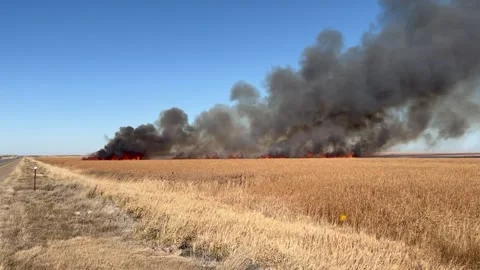 Prairie fire in the Midwest Stock Footage 292459611