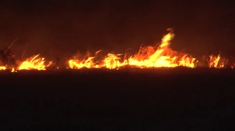 Prairie Fire Slow Motion 스톡 동영상 63649675
