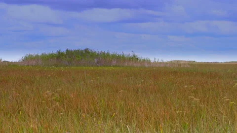 Prairie Video stock 162968858