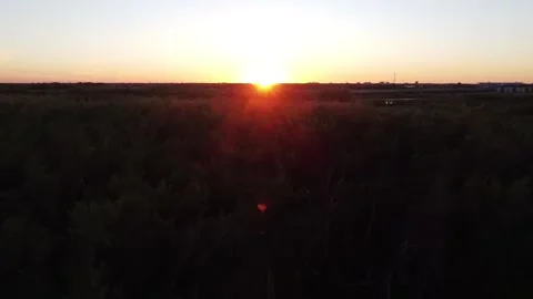 Prairie forest sunset Stock Footage 199511804