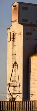 Prairie Grain Elevator Stock Photos