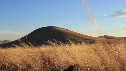 Prairie Grass Blowing in Wind with Hill in Distance (HD) Stock Footage 6637044