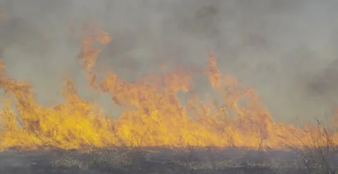 Prairie Grass Fire Stock Footage 166172268