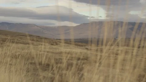 Prairie Grasses Stock Footage 152499928