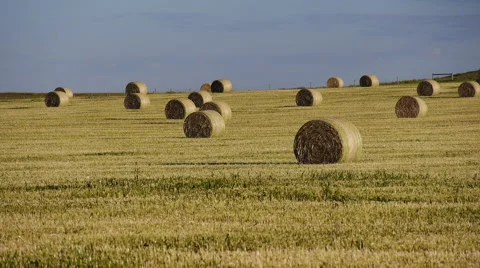 Prairie Hay Bales Stock Footage 62785014