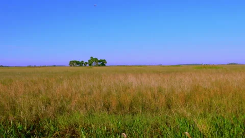 PRAIRIE LANDSCAPE  Video stock 162970632
