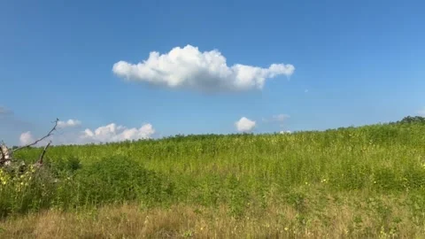Prairie Landscape Slow Pan Stock-Footage 339288916