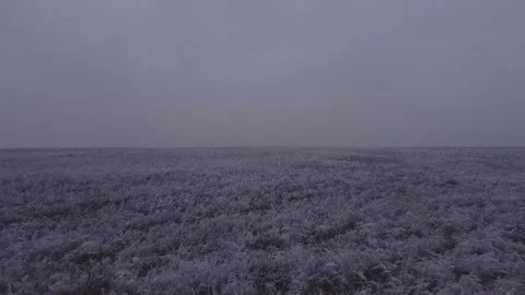 Prairie At Night Fly Over Stock Footage 156475267