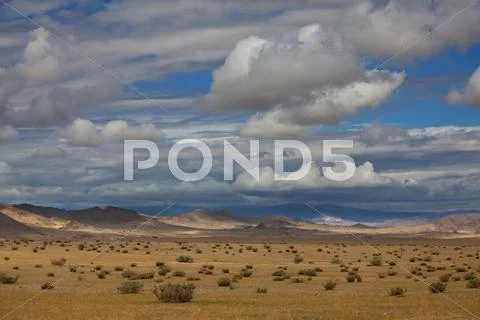 Prairie Stock Photos