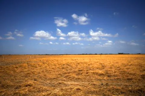 Prairie Stock Photos