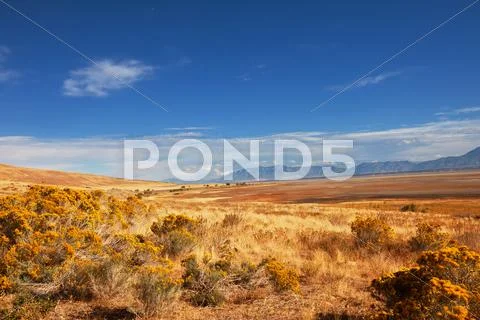 Prairie Stock Photos
