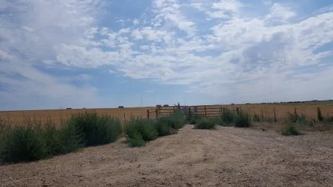 Prairie 写真素材