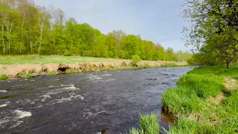 Prairie River in central Wisconsin on a spring day Video stock 310957449
