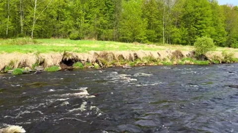 Prairie River in central Wisconsin on a spring day in slow motion Video stock 311731147