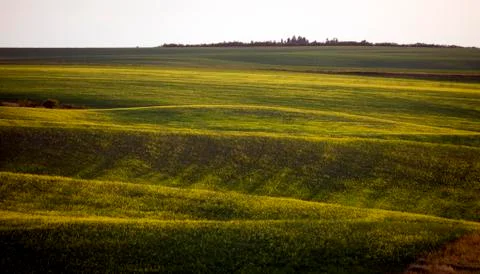 Prairie Scene Saskatchewan Stock Photos