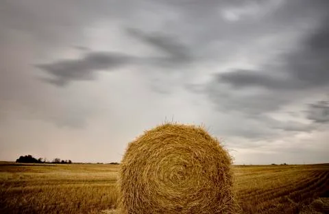 Prairie Scene Saskatchewan Stock-Fotos