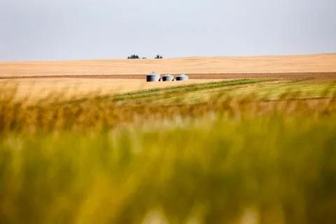 Prairie Scene Saskatchewan Stock Photos