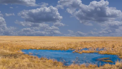 Prairie with small blue lake time lapse scene Vídeos de archivo 155108524