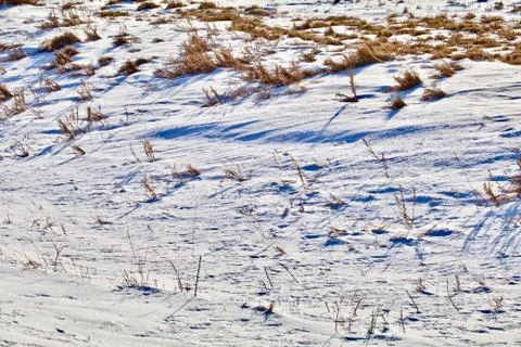 Prairie Snow Stock Photos