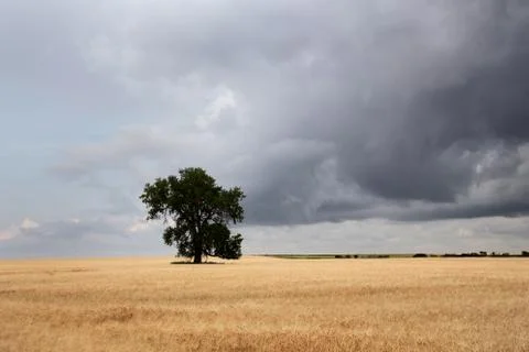Prairie Storm Clouds Canada Stock Photos
