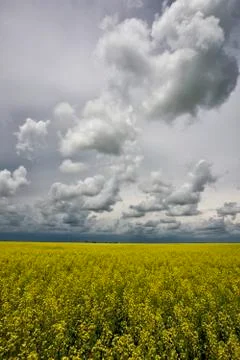 Prairie Storm Clouds Canada Stock Photos