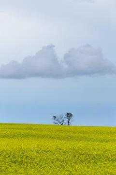 Prairie Storm Clouds Canada 스톡 사진