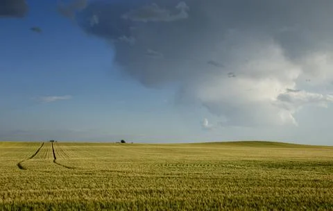 Prairie Storm Clouds Canada Stock Photos