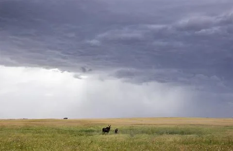 Prairie Storm Clouds Canada Stock Photos