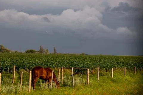 Prairie Storm Clouds Stock Photos