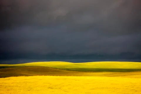 Prairie Storm Clouds 스톡 사진
