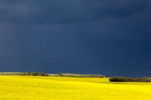 Prairie Storm Clouds Stock Photos