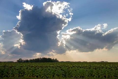 Prairie Storm Clouds 写真素材