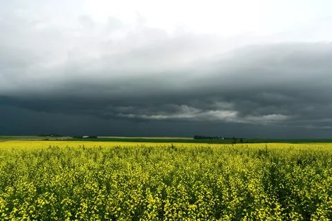 Prairie Storm Clouds Stock Photos