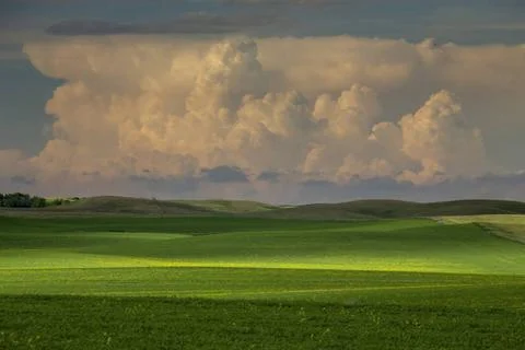  Prairie Storm Clouds Summer Storms in the Canadian Prairies Dramatic Scen... Stock Photos