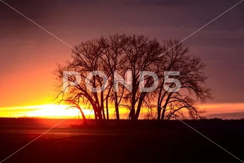 Prairie Sunset Canada Stock Photos