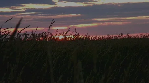 Prairie Sunset Stock Footage 785230
