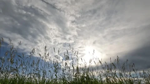 Prairie Sunset Stock Footage 249919197