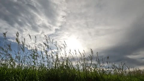 Prairie Sunset Stock Footage 250300662