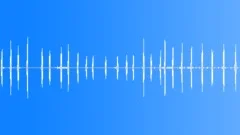 Prairie Warbler CU Song Sound Effect